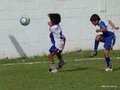 LVBF6FA2013 063