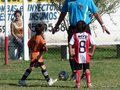 LVBF6FA2013 008