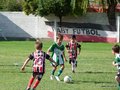 LVBF6FA2013 033