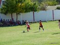 LVBF6FA2013 013