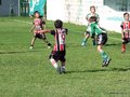 LVBF6FA2013 037
