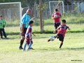 LVBF7FA2013 004