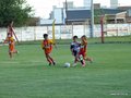LVBF7FA2013 071