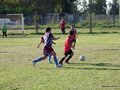 LVBF7FA2013 026