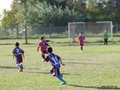 LVBF7FA2013 014