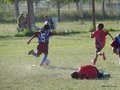 LVBF7FA2013 016