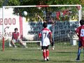 LVBF8FA2013 031