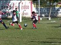 LVBF8FA2013 029