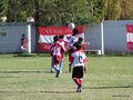LVBF8FA2013 008