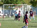 LVBF8FA2013 028