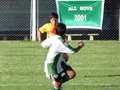 LVBF8FA2013 046