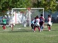 LVBF8FA2013 014