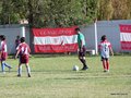 LVBF8FA2013 011