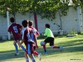 LVBF8FA2013 018