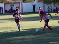 LVBF8FA2013 022