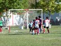 LVBF8FA2013 013