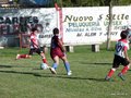 LVBF8FA2013 004