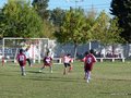 LVBF8FA2013 026