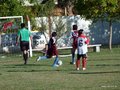 LVBF8FA2013 030