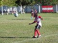 LVBF8FA2013 024