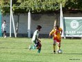LVBF8FA2013 067
