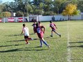LVBF8FA2013 002