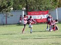 LVBF8FA2013 010
