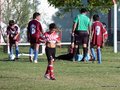 LVBF8FA2013 032