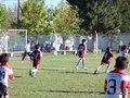 LVBF8FA2013 006
