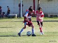 LVBF8FA2013 020