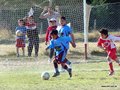 LVBF12FC2013 029