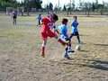 LVBF12FC2013 020