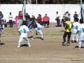LVBF4FC2013 025