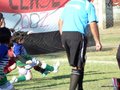 LVBF10FC2013 029