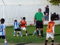 LVBF10FC2013 083