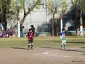 LVBF10FC2013 042