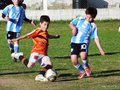 LVBF10FC2013 074
