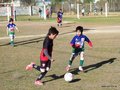 LVBF10FC2013 015