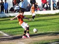 LVBF10FC2013 078