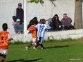 LVBF10FC2013 079