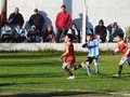 LVBF10FC2013 077