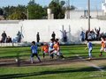 LVBF10FC2013 070