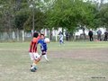 LVBF11FC2013 015