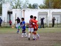 LVBF11FC2013 045