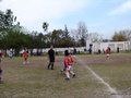 LVBF11FC2013 031