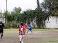 LVBF11FC2013 039