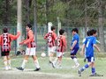 LVBF11FC2013 028