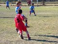 LVBF12FC2013 046