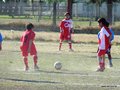 LVBF12FC2013 015