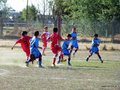LVBF12FC2013 013